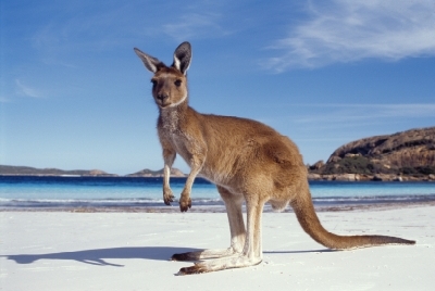 Australien Golfreisen und Golfurlaub